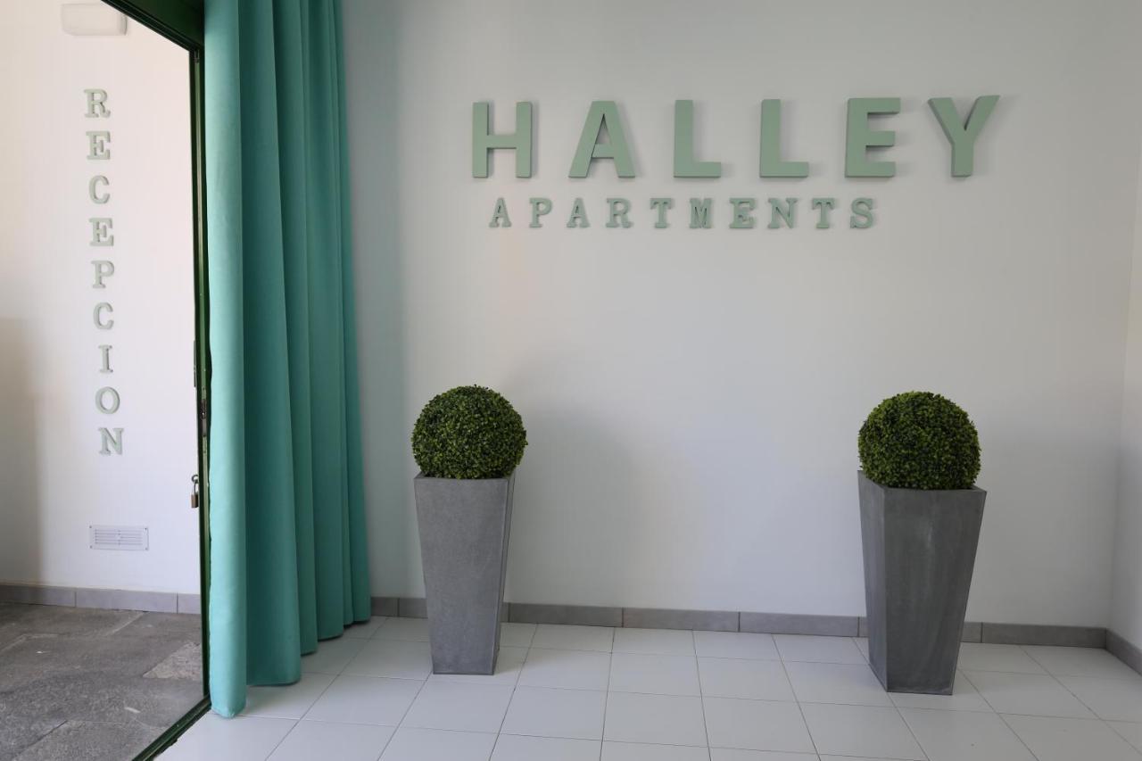 Halley Rooms Mogán Esterno foto